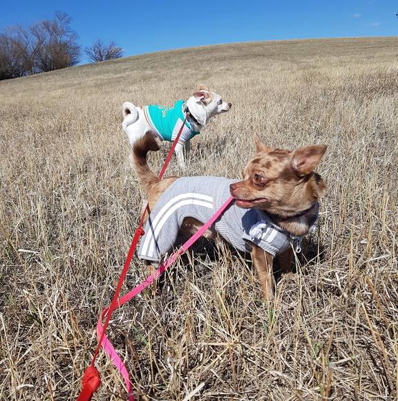 Meet your Posher, Jauta b - Picture 1 of 1